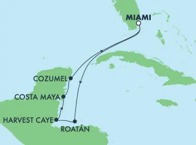 2324NCLJO Miami 7 Miami 2324NCLJO Miami 7 Miami